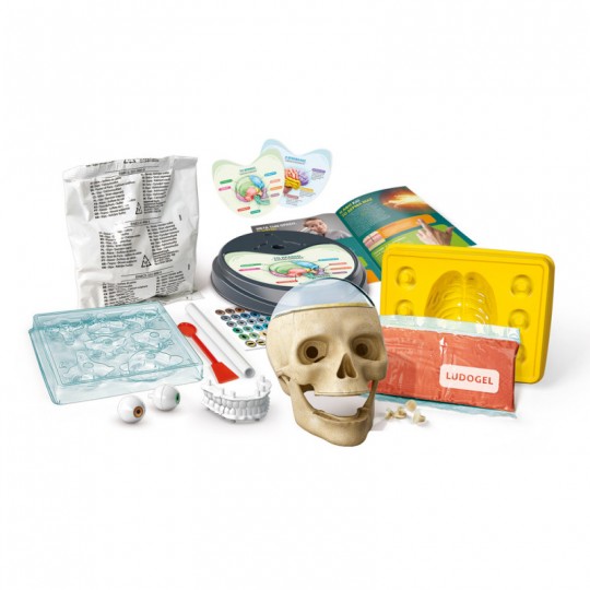 Science And Play Lab Educational Game