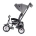 Tricycle MOOVO /Air Tires / Lixury GREY
